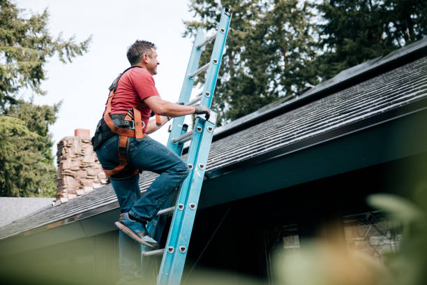 Best Skylights  in Torrance, CA